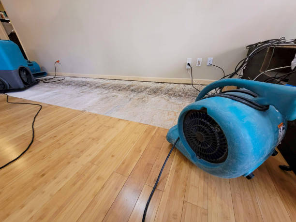 Professional Water Removal technician working in Lewisberry, PA